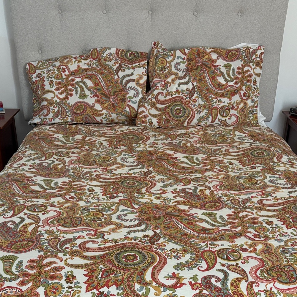 Pottery Barn Queen Duvet and Set of Shams
